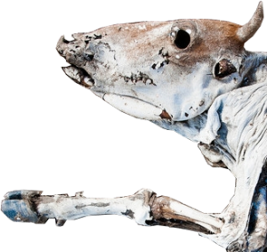 Dead Cash Cow Dead Cash Cow
