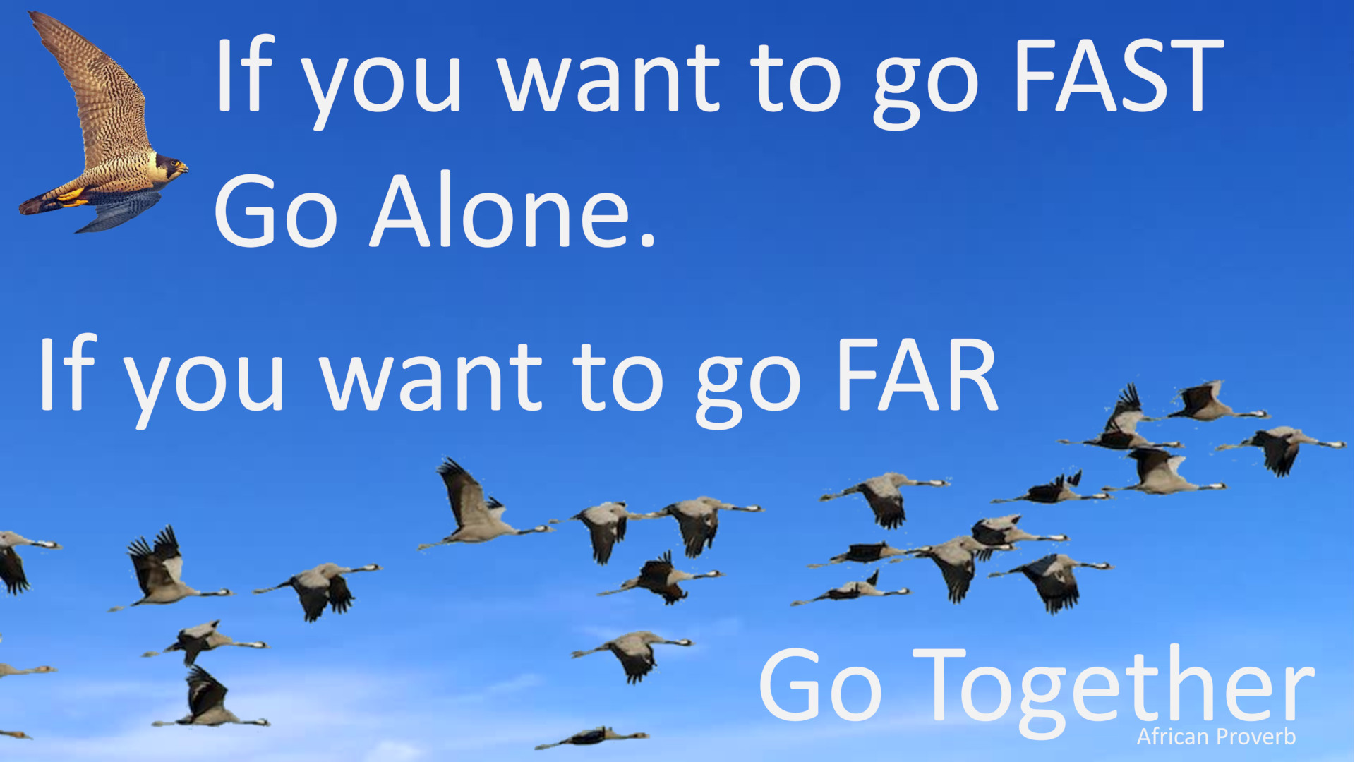 If you want to go Fast, go Alone. If you want to go Far, go Together