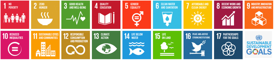 The United Nations Sustainable Development Goals