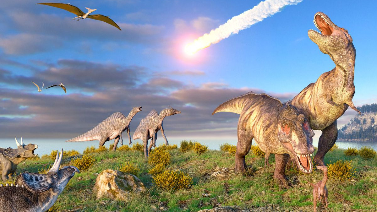 Meteor kills Dinosaurs