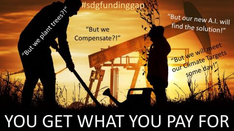 You-Get-What-You-Pay-For