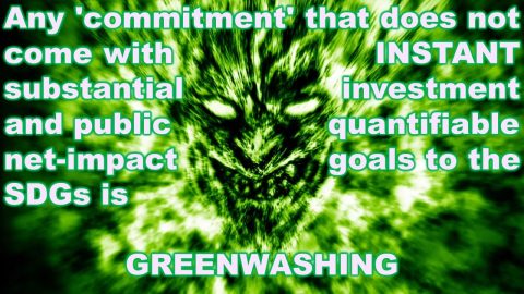 quantifiablesdgimpact