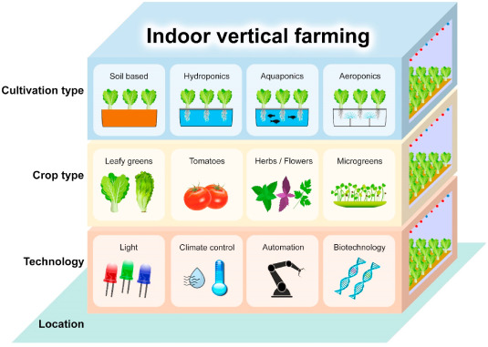 Indoor Vertical Farming